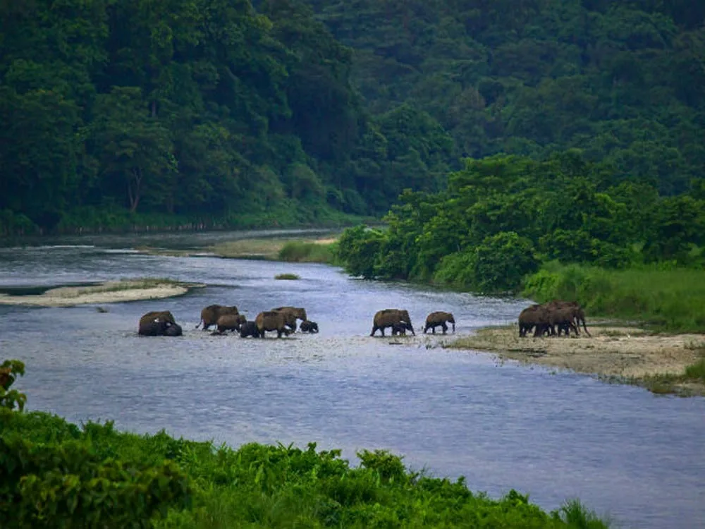 Sikkim Tour